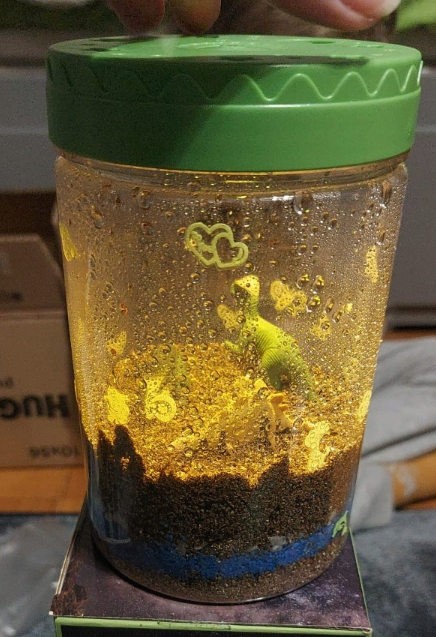 Obrazek #1 z Marianna